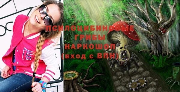 мескалин Осинники