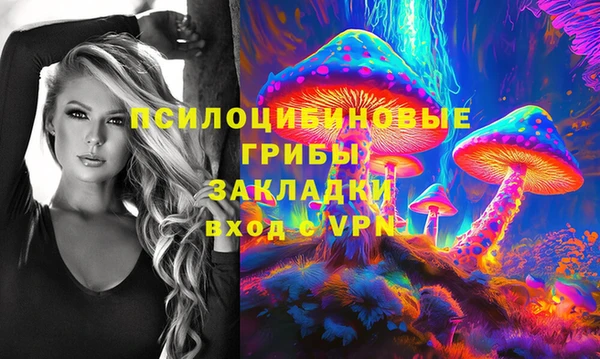 хмурый Осташков