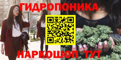 мяу мяу мука Гусь-Хрустальный