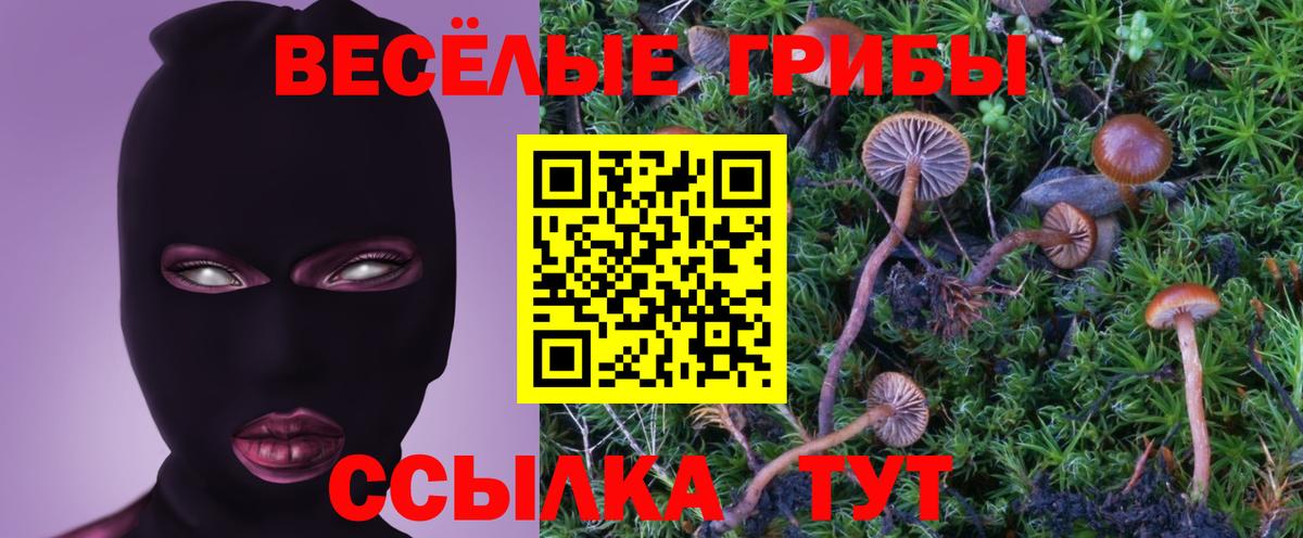 Галлюциногенные грибы Magic Shrooms  Галлюциногенные грибы мицелий  Сургут 