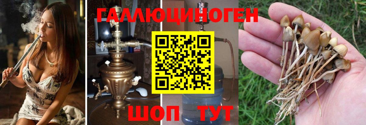 Галлюциногенные грибы мухоморы Сургут