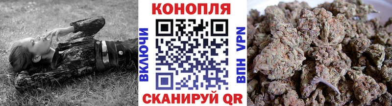 Шишки марихуана сатива  Сургут 